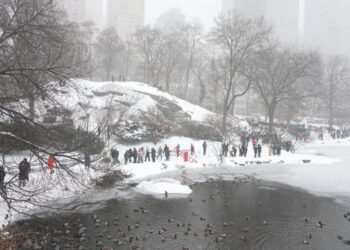 It Was 33 Degrees on Monday. That’s Still Cold.