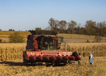 Former Farming Leaders Warn U.S. Agriculture Could Face ‘Widespread Collapse’