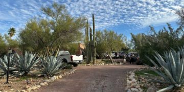 What We Know About the Disappearance of Savannah Guthrie’s Mother