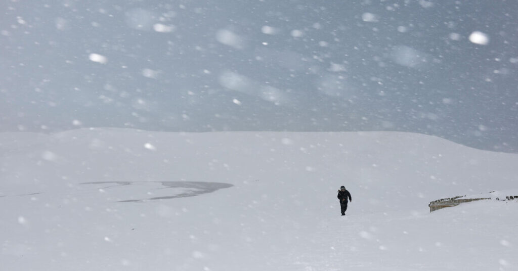 Weeks of Heavy Snowfall in Japan Kills at Least 30