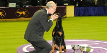 7 Unforgettable Dogs at Westminster