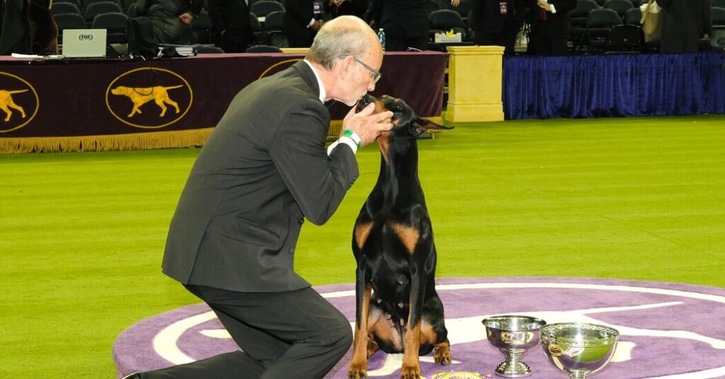 7 Unforgettable Dogs at Westminster