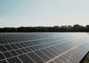 A Trump ‘Blockade’ Is Stalling Hundreds of Wind and Solar Projects Nationwide