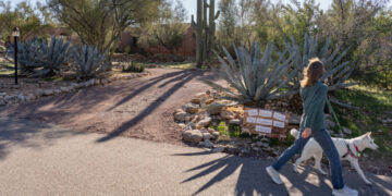 Mystery of Guthrie’s Mother Has Nation Fixated on a Desert Subdivision