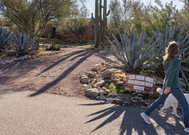 Mystery of Guthrie’s Mother Has Nation Fixated on a Desert Subdivision