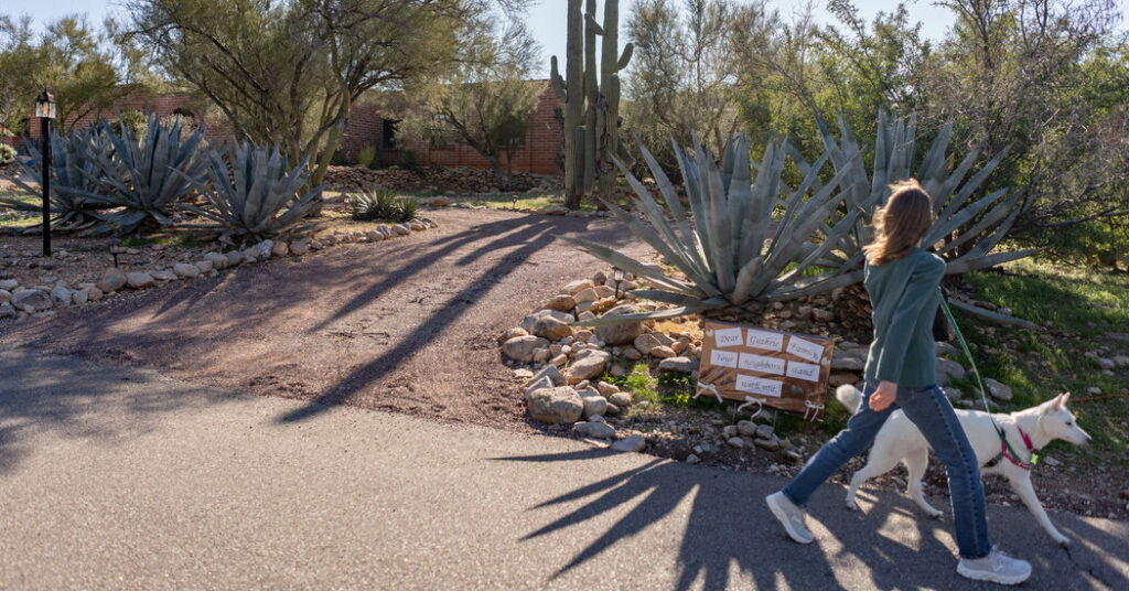 Mystery of Guthrie’s Mother Has Nation Fixated on a Desert Subdivision