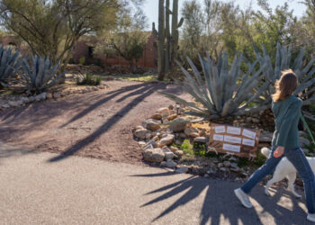 Investigators Scramble for Clues as Search for Nancy Guthrie Enters 4th Day