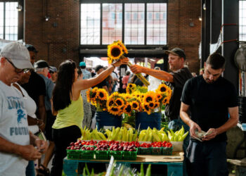 Treasure Hunting for Cities With a Story to Tell