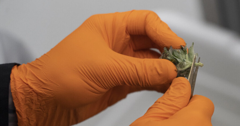 Psychosis Diagnoses Have Risen Among Young Canadians, Data Shows