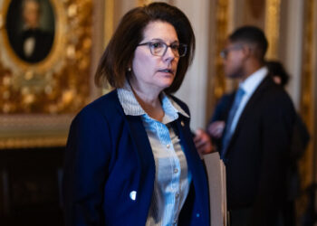 Moderates Pitch Tough-on-Crime Message for Democrats Amid Immigration Talks