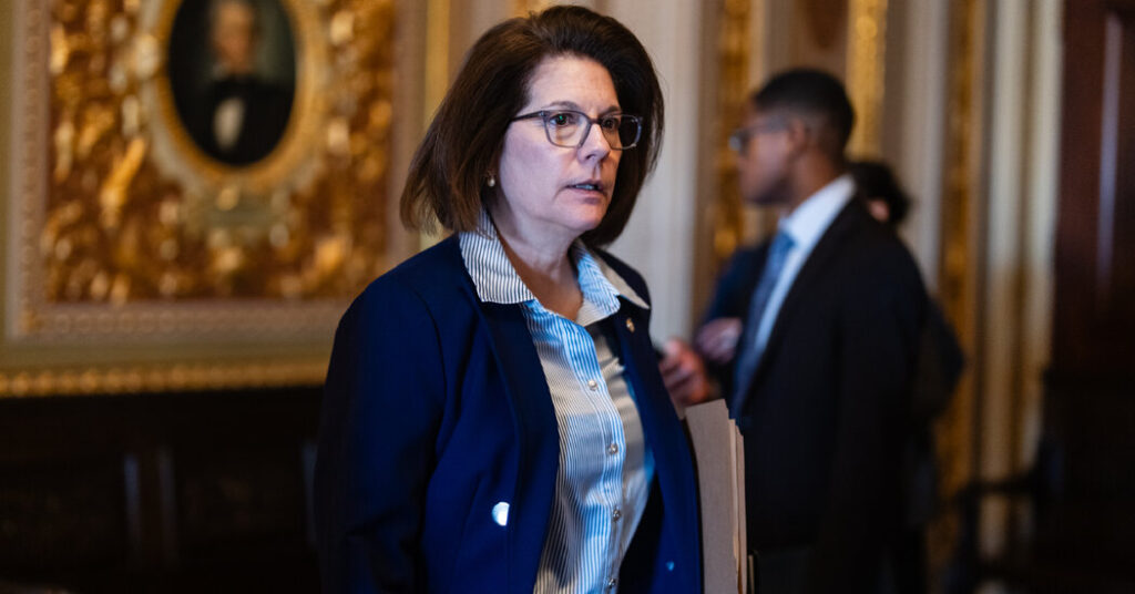 Moderates Pitch Tough-on-Crime Message for Democrats Amid Immigration Talks