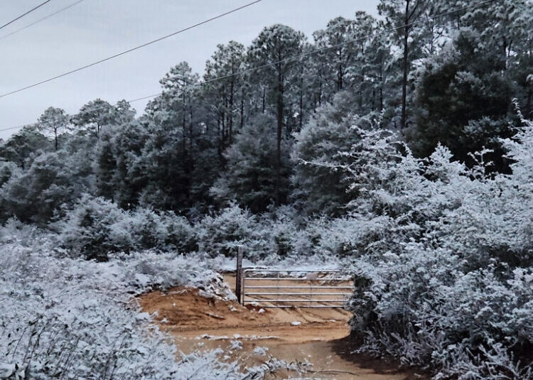 More Snow in Florida Than Utah? Why Weird Weather Has Dominated This Year.