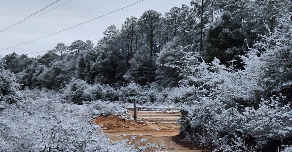 More Snow in Florida Than Utah? Why Weird Weather Has Dominated This Year.