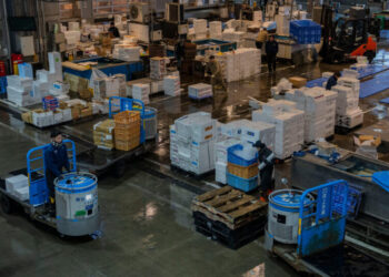 How Japan’s Leader Wants to Shape the Economy