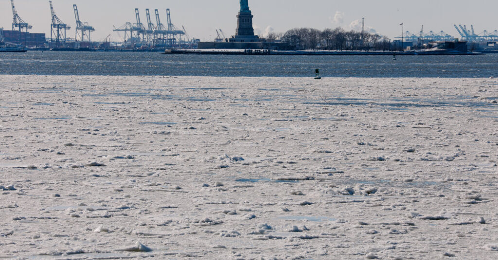 Cold Deaths in New York Climb to 18 as Frigid Winds Linger