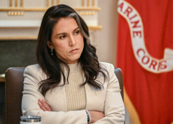 Gabbard’s 2020 Election Claims Put Her Back in Favor With Trump