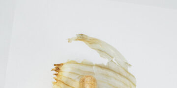 Are Garlic Supplements Good for Your Heart?