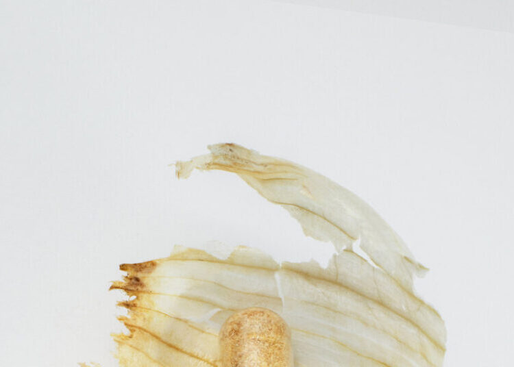 Are Garlic Supplements Good for Your Heart?