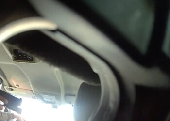 Top Border Official Praised Agent Who Shot Chicago Woman, Evidence Shows