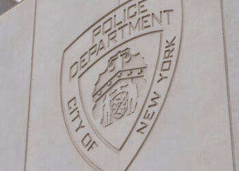 N.Y.P.D. Officer Is Charged With Assault and Misconduct Over 2 Episodes