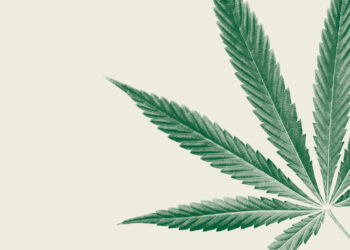 Marijuana Is Everywhere. That’s a Problem.