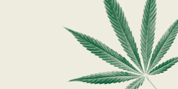 Marijuana Is Everywhere. That’s a Problem.