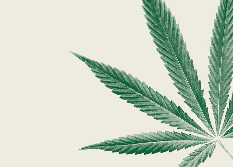 Marijuana Is Everywhere. That’s a Problem.