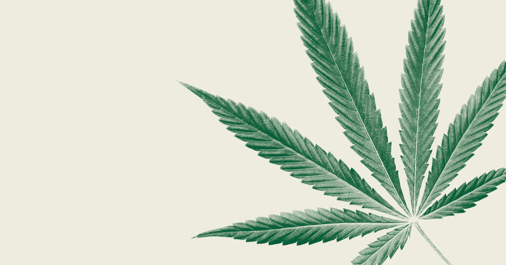 Marijuana Is Everywhere. That’s a Problem.