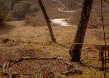 When Grief Came for the Gravedigger