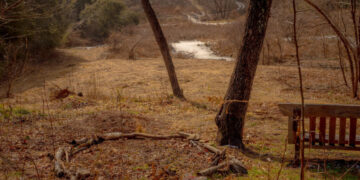 When Grief Came for the Gravedigger