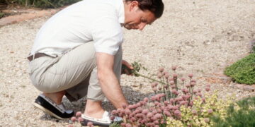 ‘An Uphill Struggle’: King Charles Is Not Giving Up on the Planet Yet