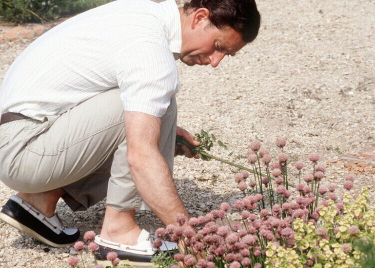 ‘An Uphill Struggle’: King Charles Is Not Giving Up on the Planet Yet