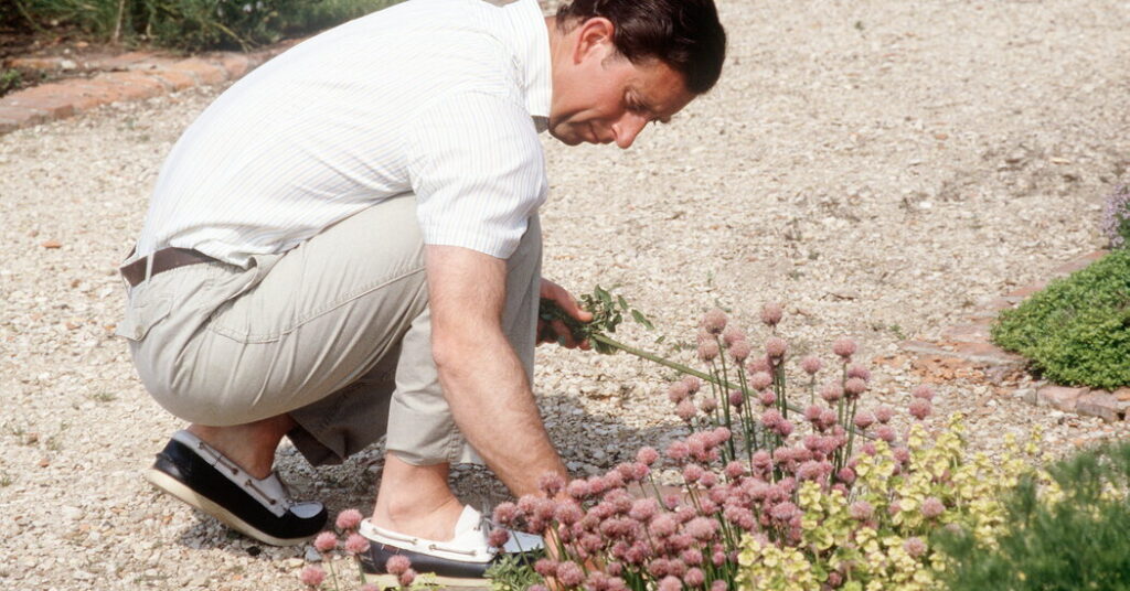 ‘An Uphill Struggle’: King Charles Is Not Giving Up on the Planet Yet