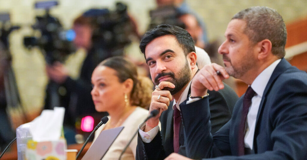 Mamdani Finds Allies, and Skeptics, in Albany as He Asks for Funding