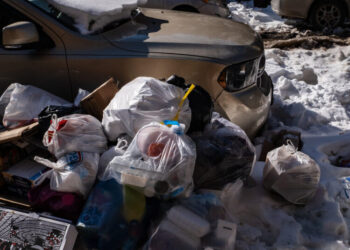 A Possible Upside of a Bitter N.Y.C. Winter? There Might Be Fewer Rats.