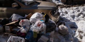 A Possible Upside of a Bitter N.Y.C. Winter? There Might Be Fewer Rats.