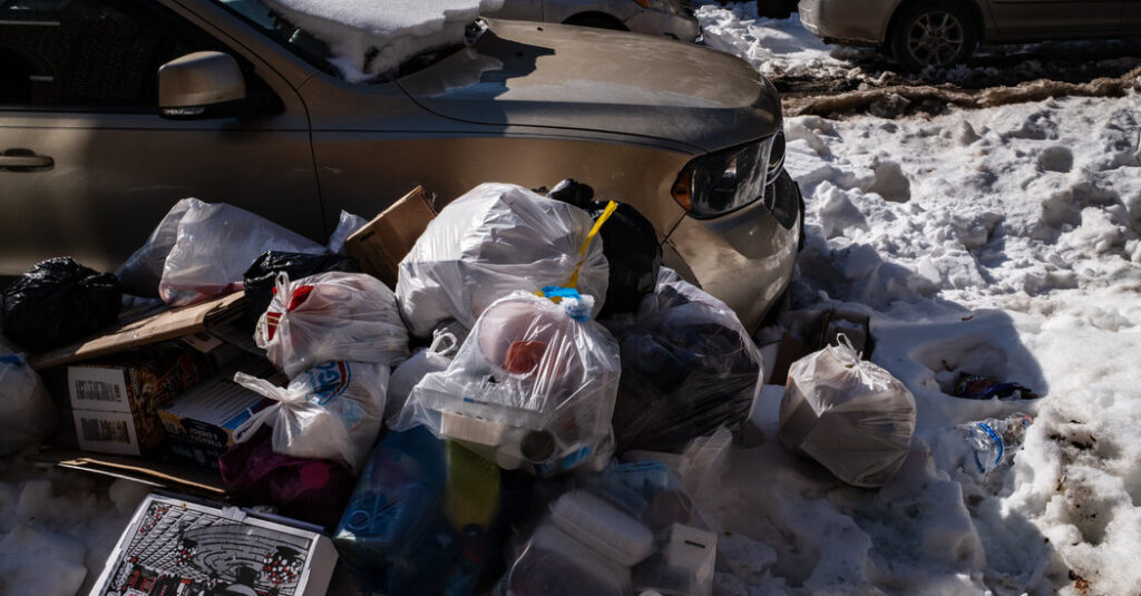 A Possible Upside of a Bitter N.Y.C. Winter? There Might Be Fewer Rats.