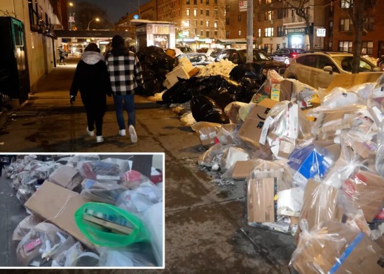 NYers raise a stink over trash buildup as ‘limited collection’ continues 7 days after winter storm: ‘It’s disgusting’
