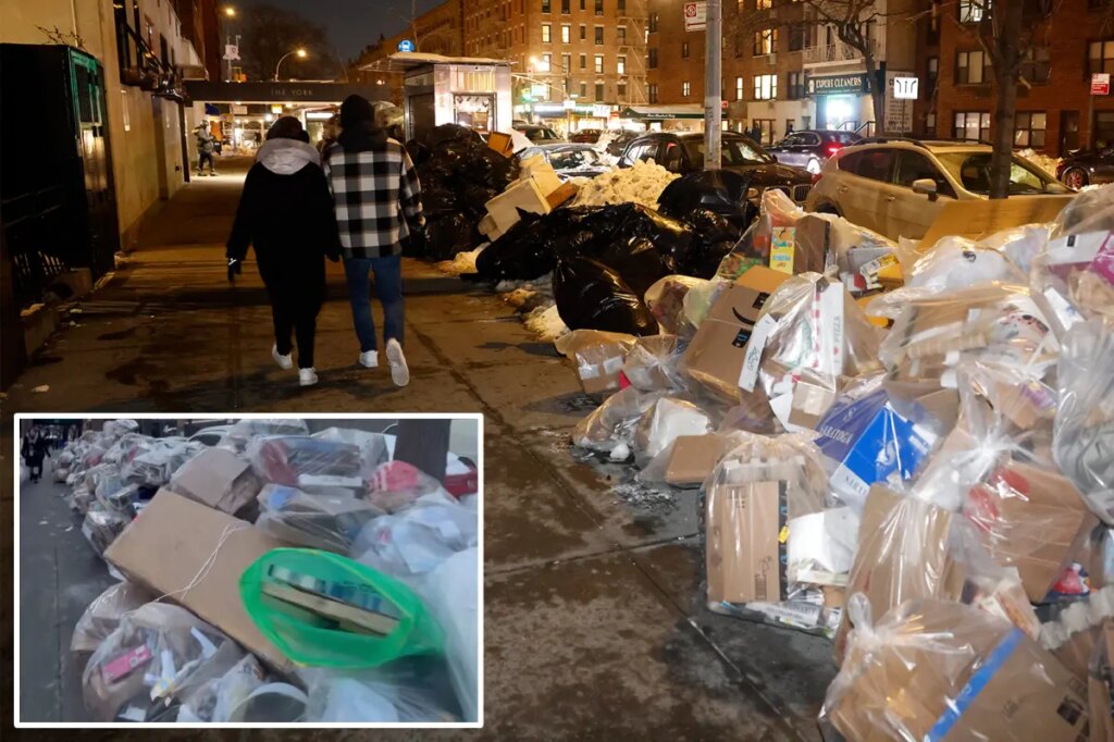 NYers raise a stink over trash buildup as ‘limited collection’ continues 7 days after winter storm: ‘It’s disgusting’