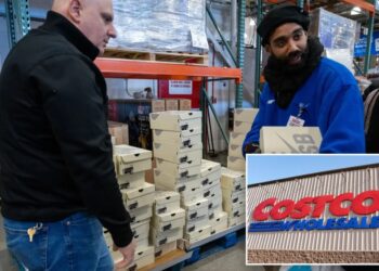 Costco’s surprise Nike collaboration sends sneaker resale market into complete frenzy