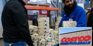 Costco’s surprise Nike collaboration sends sneaker resale market into complete frenzy