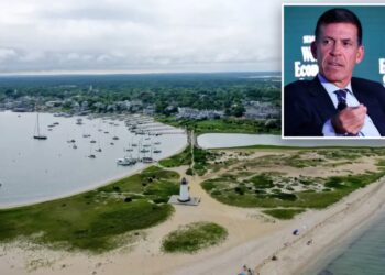 Goldman Sachs president John Waldron clashes with Martha’s Vineyard officials in tree-chopping fracas