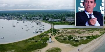 Goldman Sachs president John Waldron clashes with Martha’s Vineyard officials in tree-chopping fracas