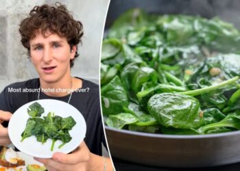 Food blogger stunned at ‘absurd’ price restaurant charged for measly side of spinach: ‘Biggest rip-off’