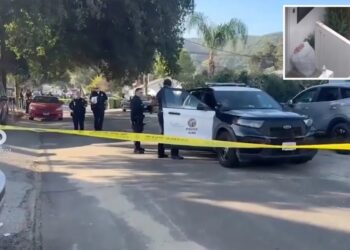 Shocking footage shows horrifying moment knife-wielding ‘psychopath’ neighbor stabs girl, 10, and grandfather