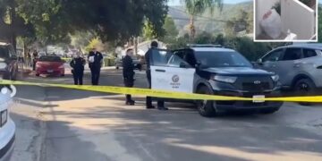 Shocking footage shows horrifying moment knife-wielding ‘psychopath’ neighbor stabs girl, 10, and grandfather