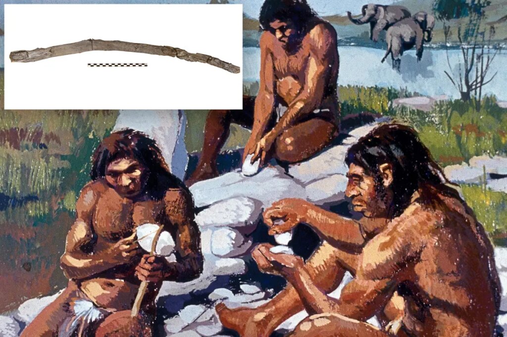 Possible oldest hand-carved tools ever mystify archaeologists after being found preserved in mud