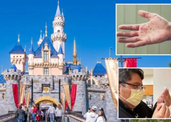 Second measles case confirmed at Disneyland