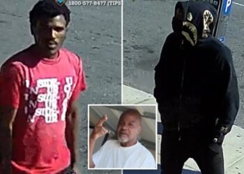 NYC muggers pummel man, 66, then try to pick his pockets as he lays dying: cops