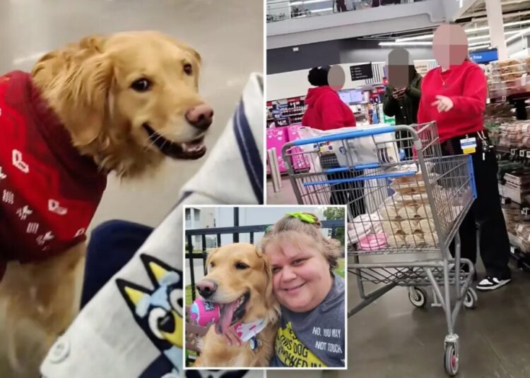 Walmart shopper allegedly followed by store workers over off-leash service dog